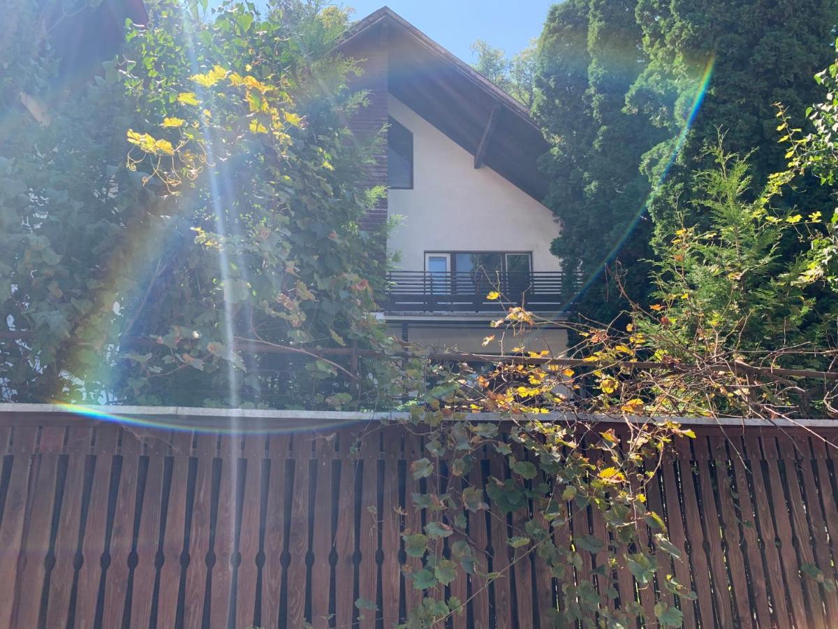 Apartament Timi *