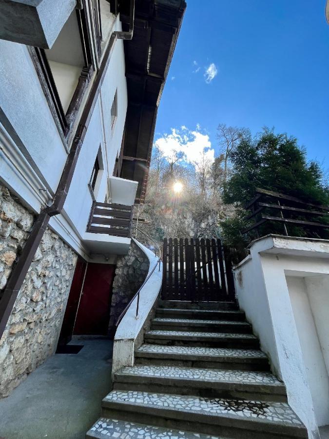 Apartament Timi Brașov