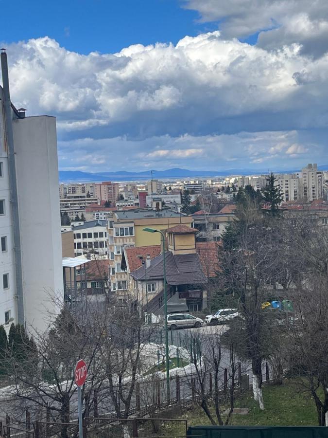 Apartament Timi